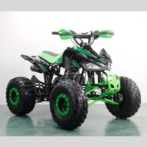 110cc Automatic ATV Quad Bike